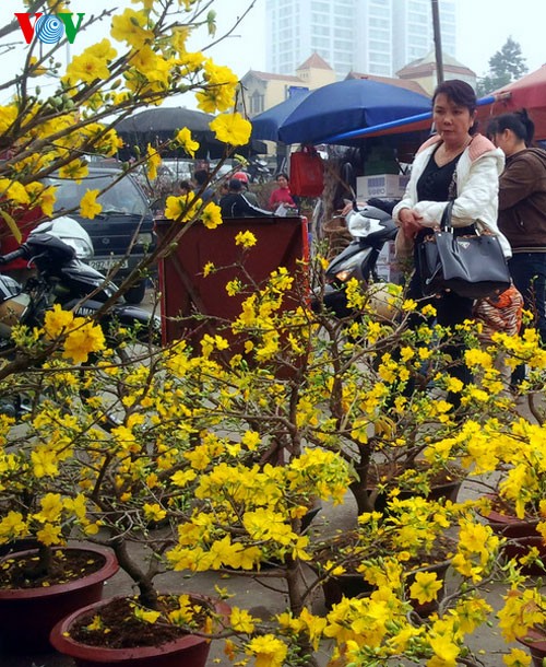 Hanoi un jour avant le Tet du Dragon  - ảnh 3